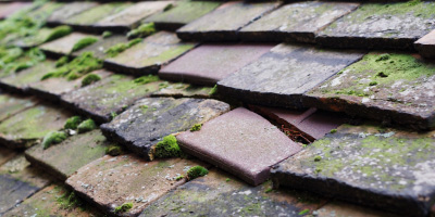 Lewknor roof repair costs